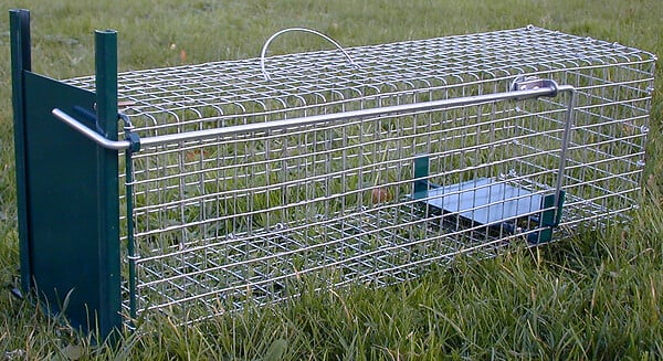 Rattenval kooi 1 deur