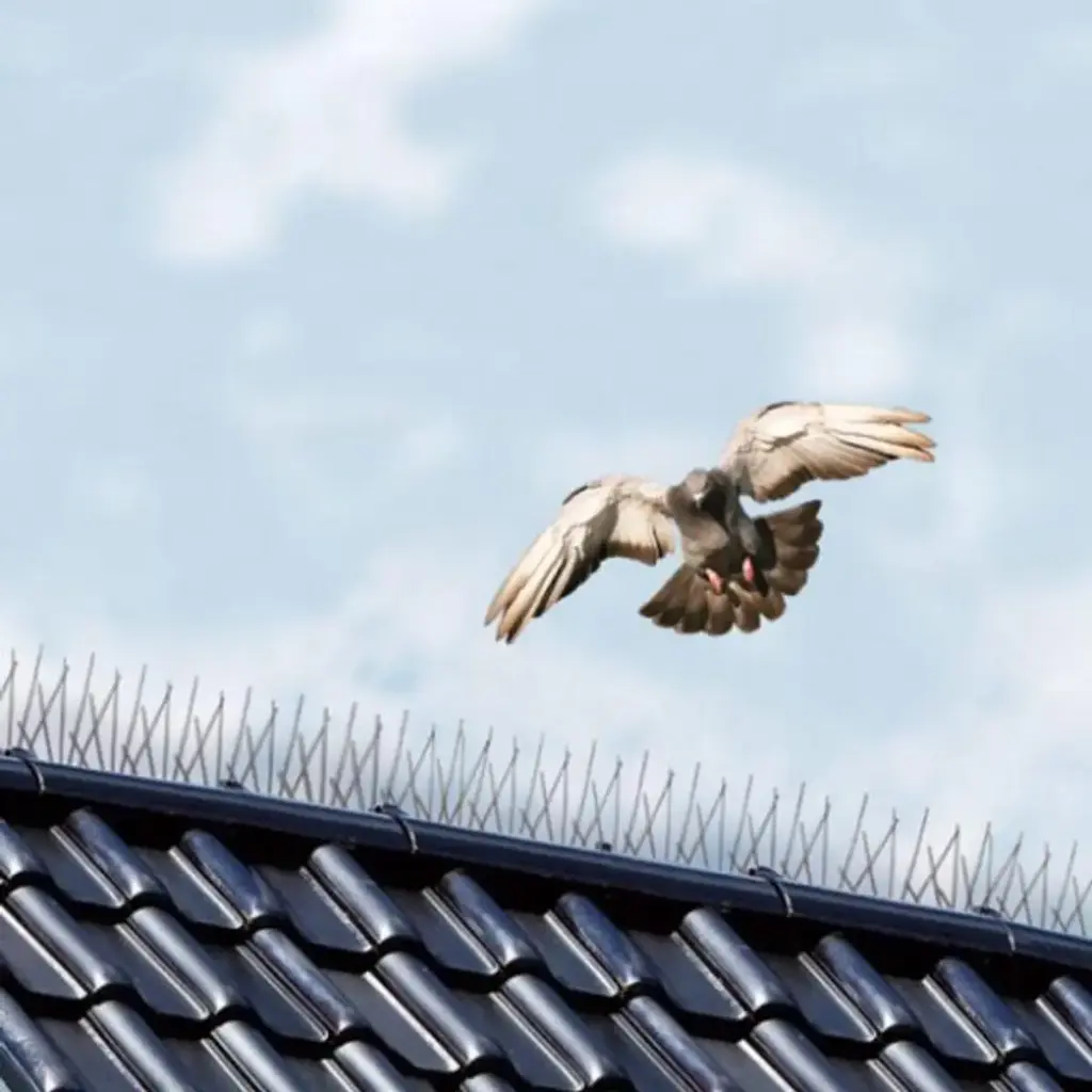 [Vogelpinnen per meter]  Duivenpinnen 1 meter